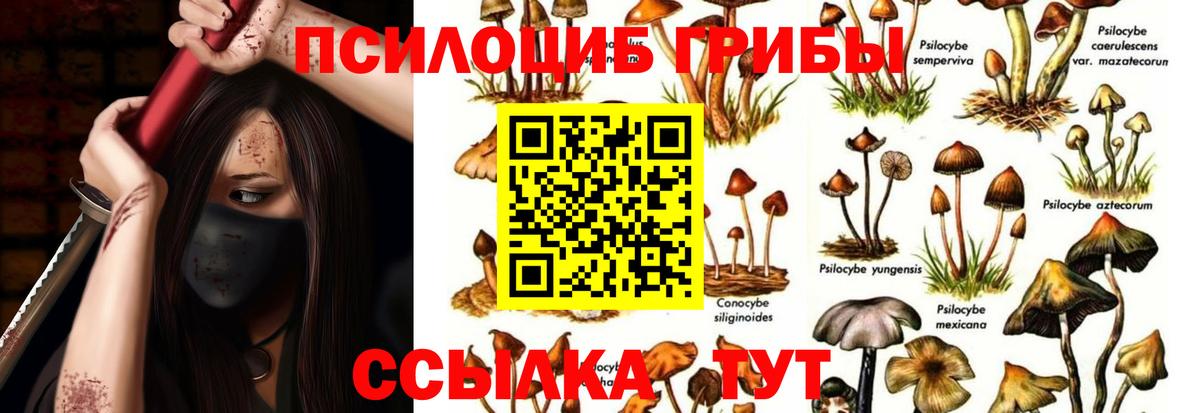 Галлюциногенные грибы Cubensis  купить  сайты  Кандалакша  Вход с VPN 